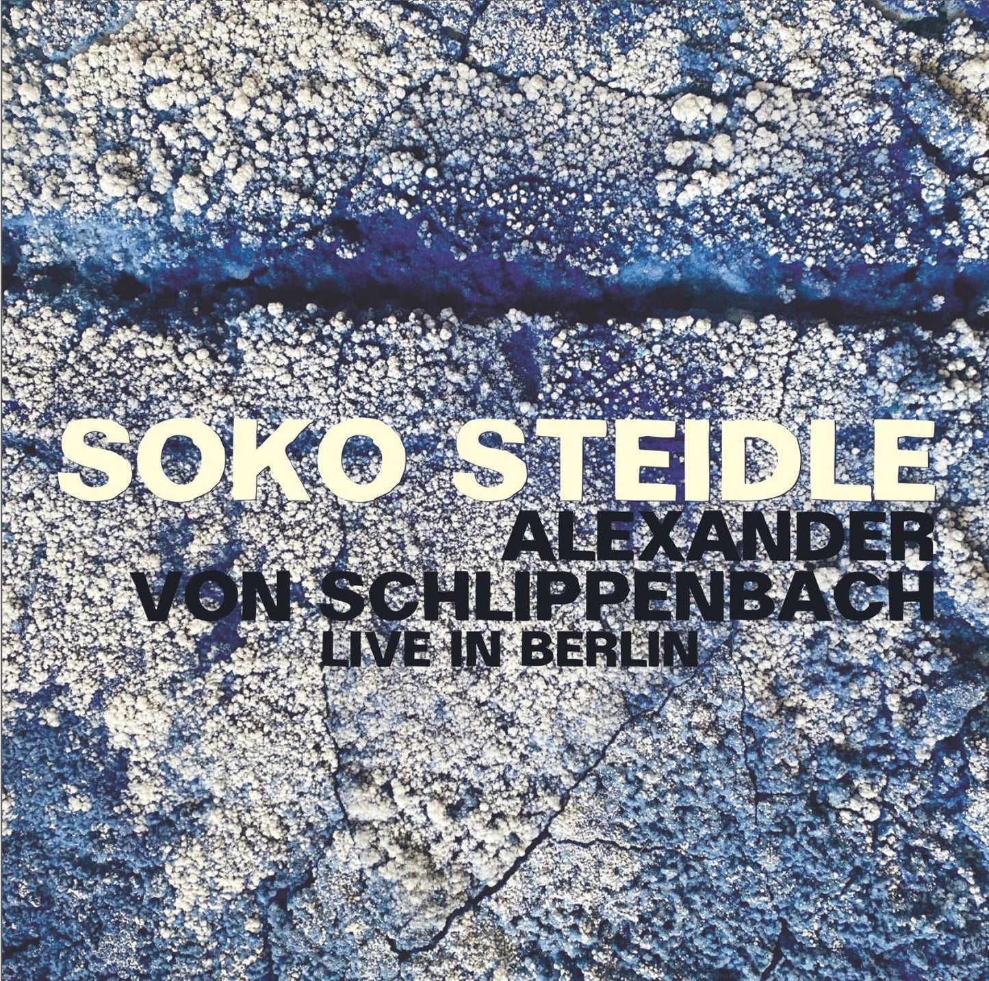 SOKO STEIDLE + ALEXANDER VON SCHLIPPENBACH – LIVE IN BERLIN
